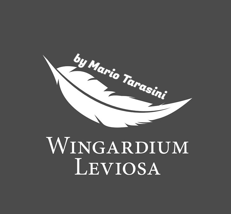 Wingardium Leviosa by Mario Tarasini (MP4 Video Download)