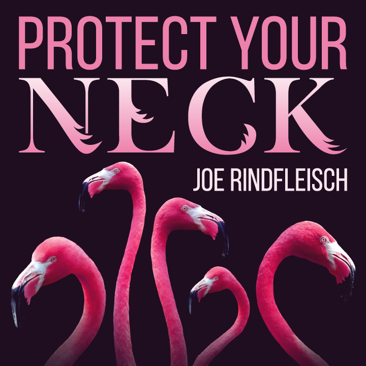 Protect Your Neck by Joe Rindfleisch (MP4 Video Download)