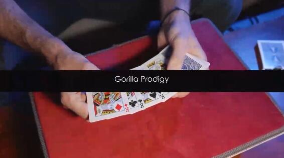 Gorilla Prodigy by Yoann Fontyn (Mp4 Video Download 720p High Quality)