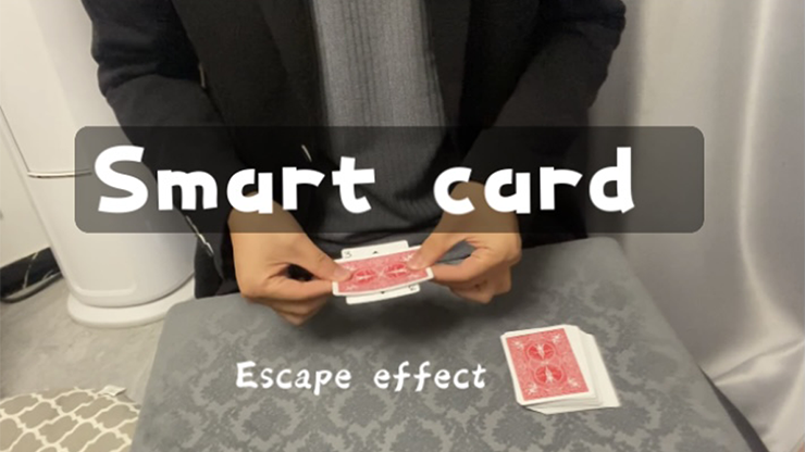 Smart Card by Dingding (Mp4 Video Download 720p High Quality)
