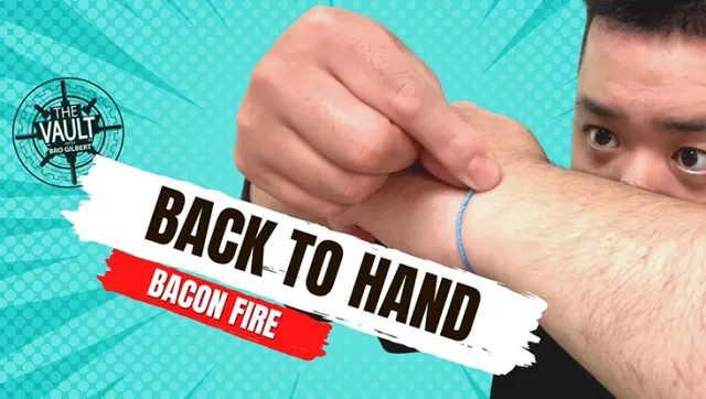 The Vault - Back to Hand by Bacon Fire (Mp4 Video Magic Download)