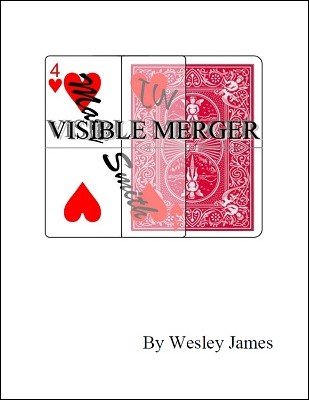 Visible Merger by Wesley James (official PDF ebook Download)