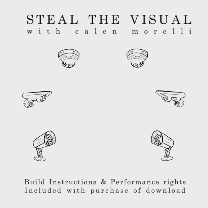 Steal The Visual by Calen Morelli