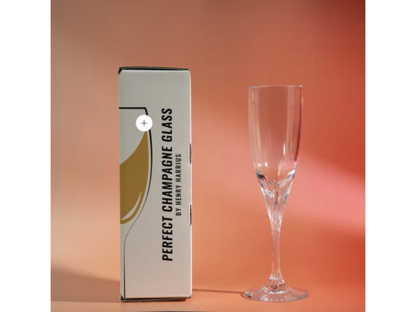 Perfect Champagne Glass by Henry Harrius (Mp4 Video Download)