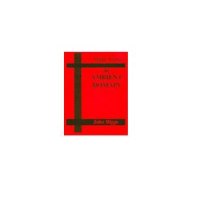 Magic From The Ambient Domain by John Riggs (PDF eBook Download)