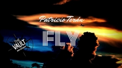 The Vault - Fly by Patricio Teran (MP4 Video Download)