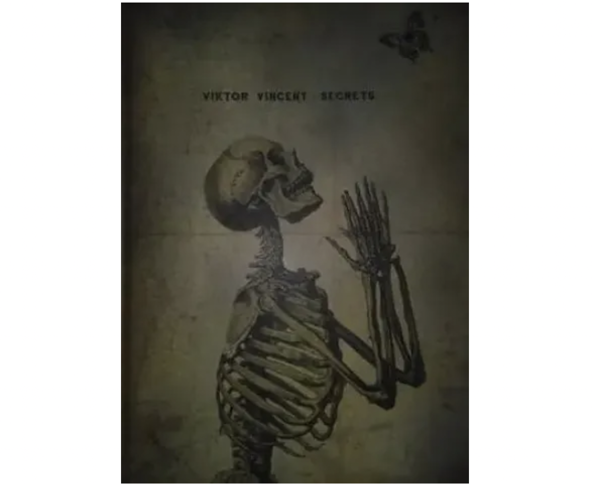 Viktor Vincent SECRETS (French)