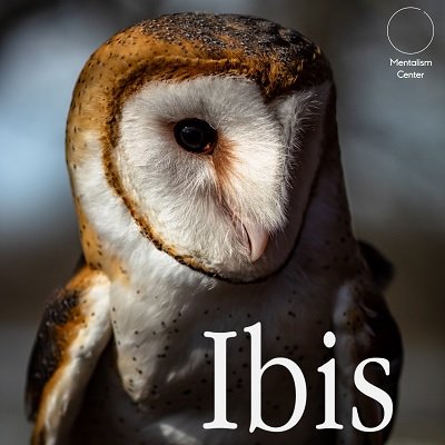 Ibis by Carlos Emesqua (PDF ebook Download)