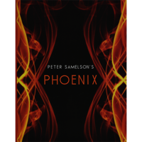 Petert Samelson - Phoenix