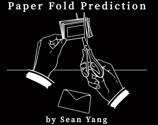 Sean Yang - Paper Fold Prediction