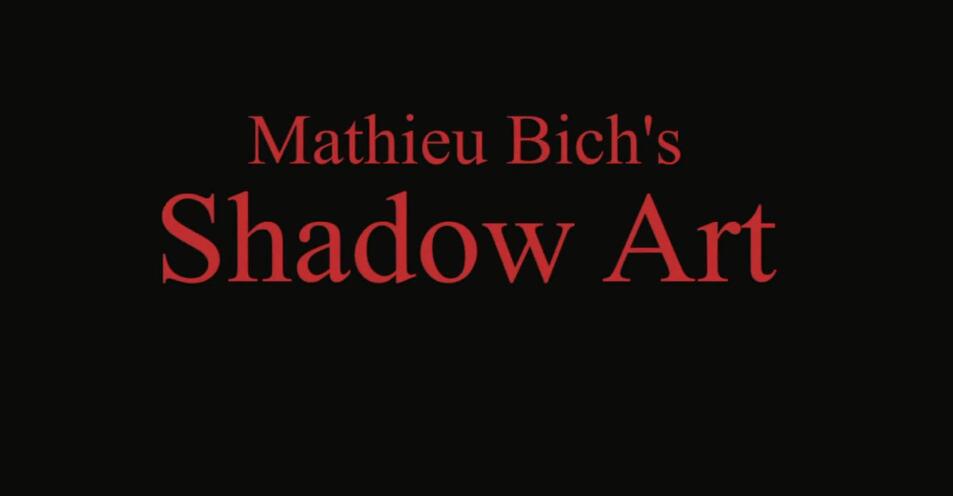 Mathieu Bich - Shadow Art