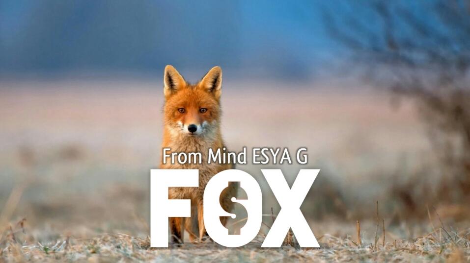 Esya G - FOX