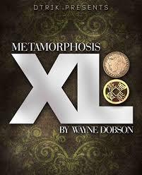 Wayne Dobson - Metamorphosis XL