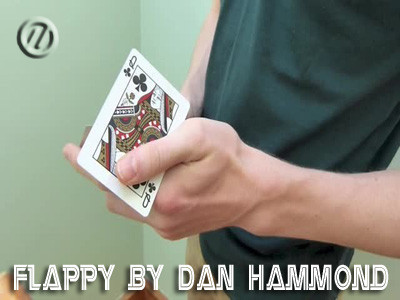 Theory11 - Dan Hammond - Flappy & Popcorn