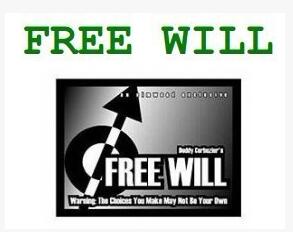 Paolo Cavalli & Greg Arce - Free Will