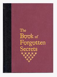 Stephen Minch - The Book of Forgotten Secrets