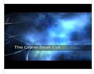 Owen Packard - The Crane Beak Cut