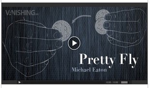 Vanishing Inc Pretty Fly by Mike Eaton
