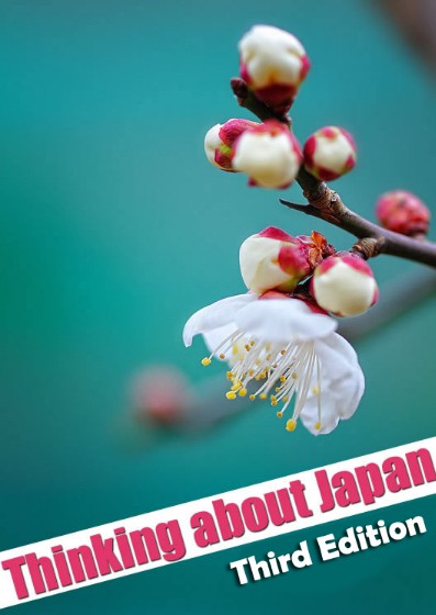 Pablo Amira - Thinking about Japan Third Edition