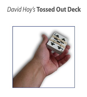 Tossedout - David Hoy